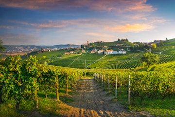 Barbaresco village and Langhe vineyards, Piedmont, Northern Italy.