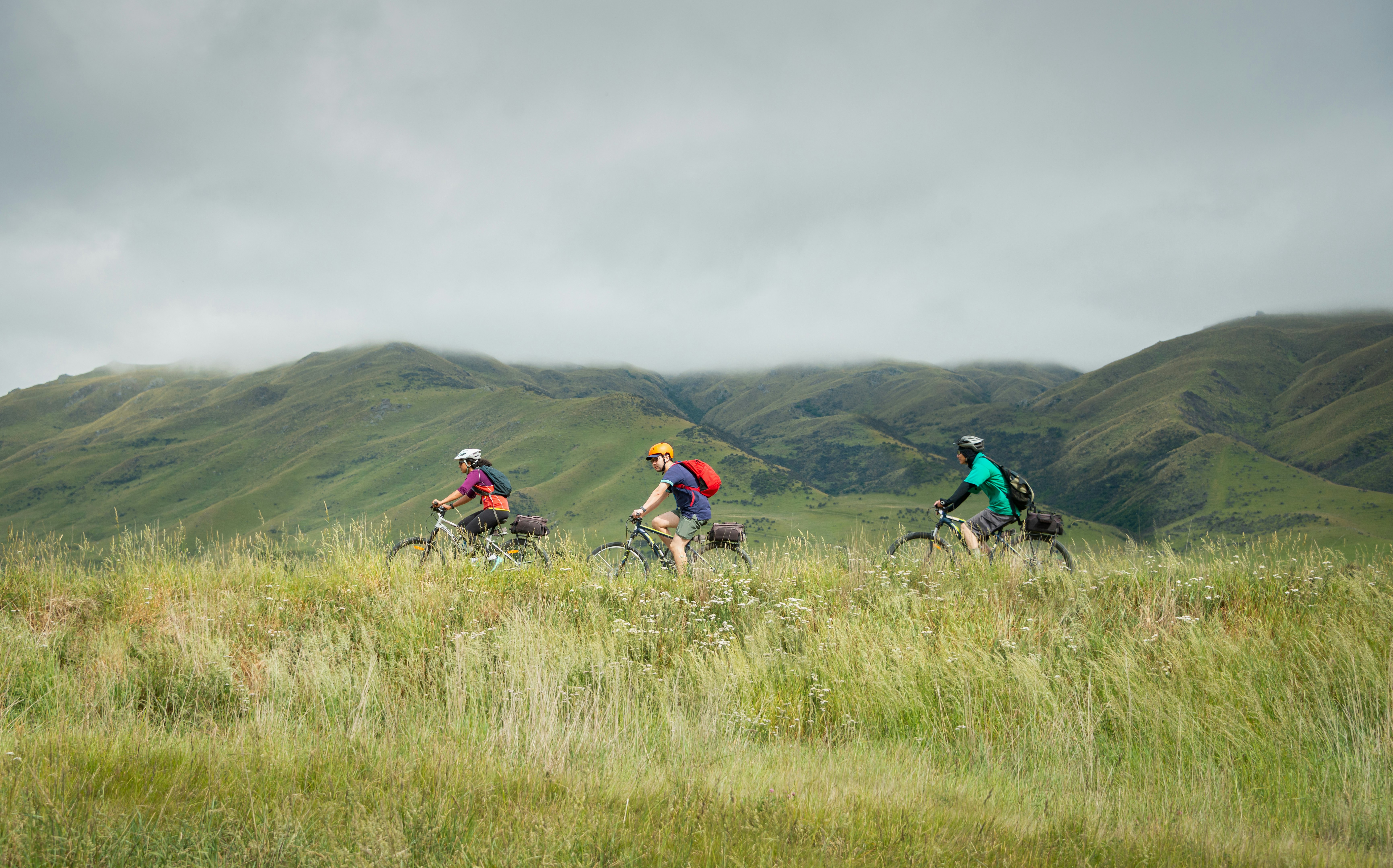 Three people cycling the Otago Central Rail Trail toward Middlemarch, South Island, New Zealand