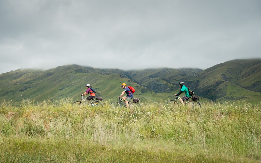 The latest on cycling holidays in New Zealand Lonely