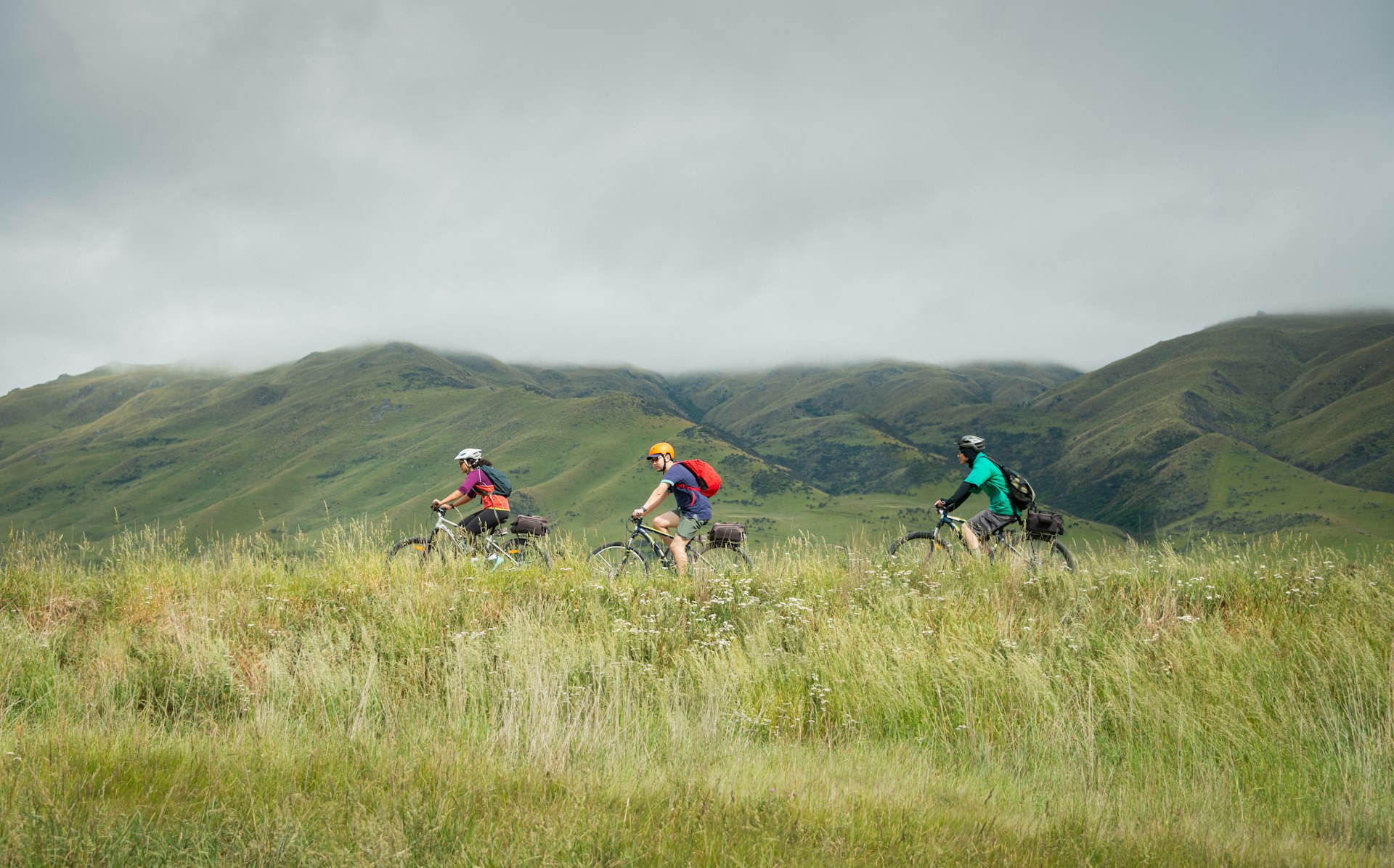 Three people cycling the Otago Central Rail Trail toward Middlemarch, South Island, New Zealand