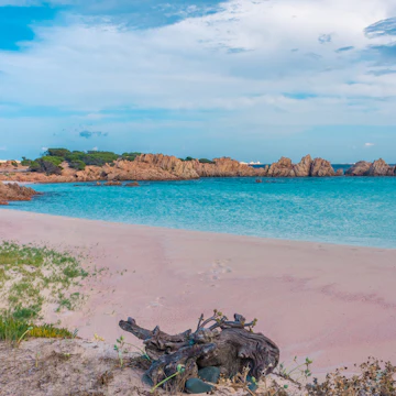 Pink sand beach on Budelli Island