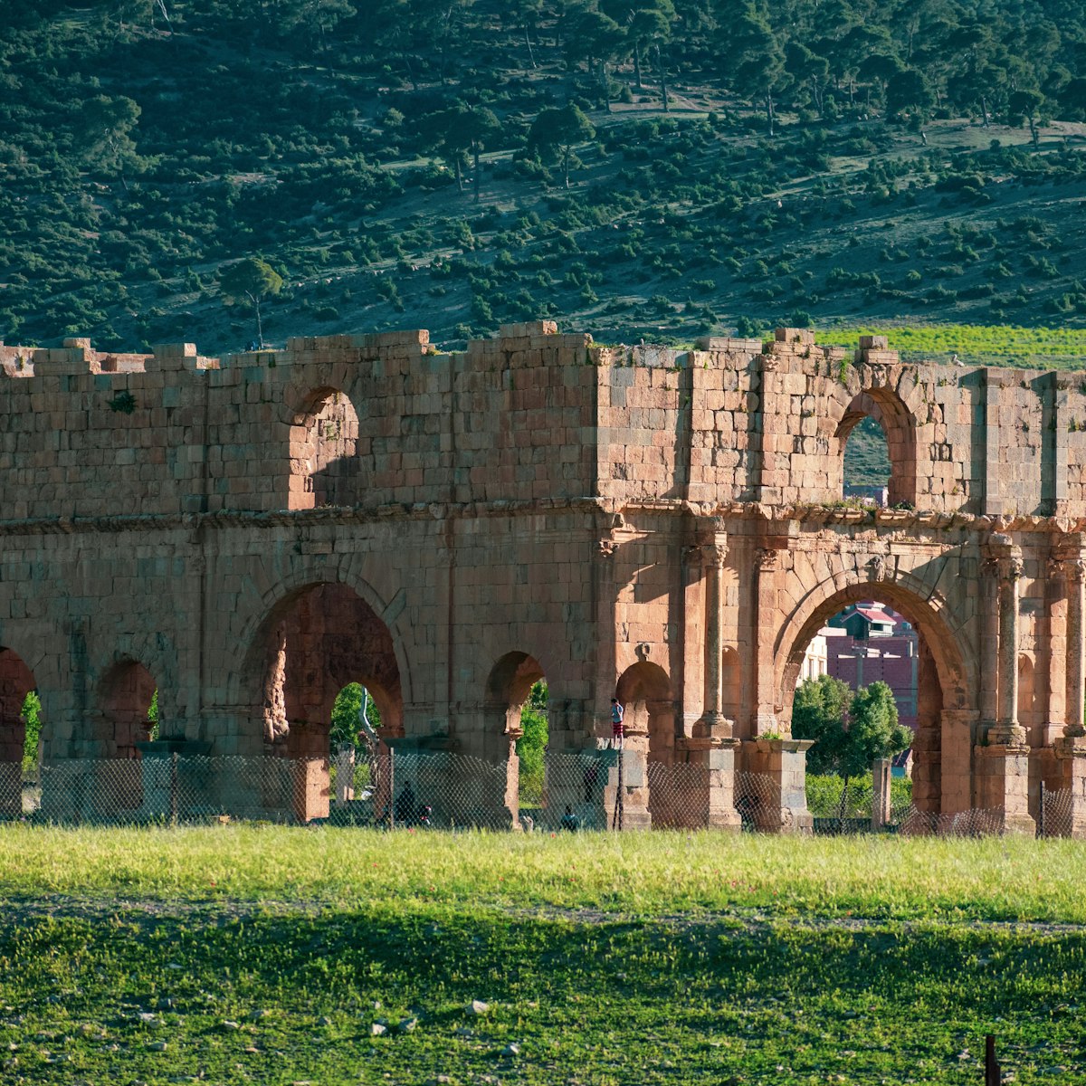 Archeological Site of the Roman City Lambaesis, Tazoult, Algeria.
