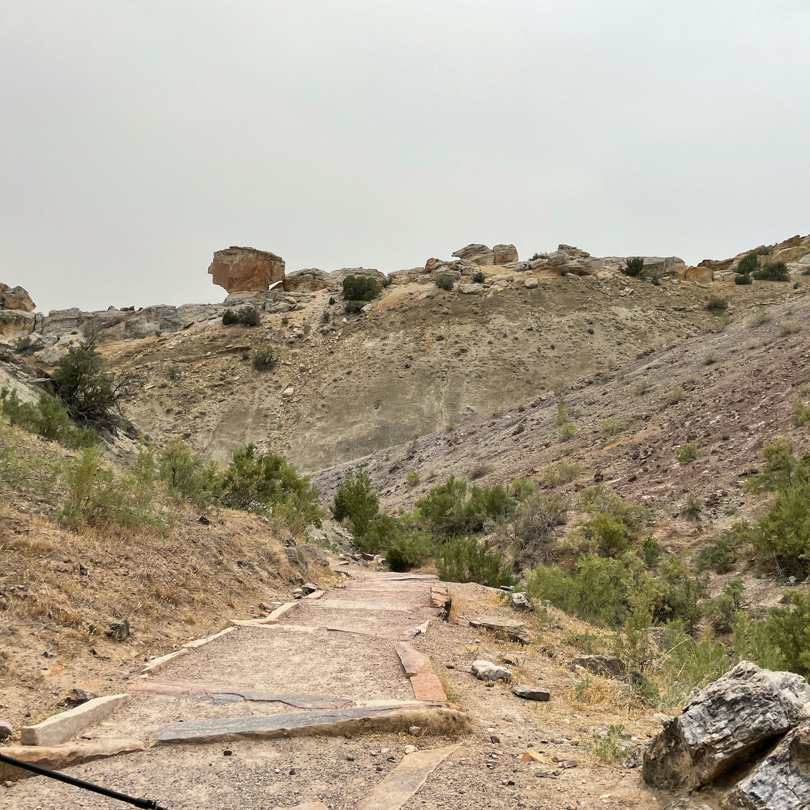 Dinosaur National Monument Fossil Discovery Trail.