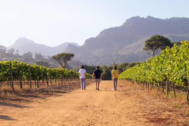 Three people walk through a vineyard heading in the direction of some large craggy hills on a sunny day