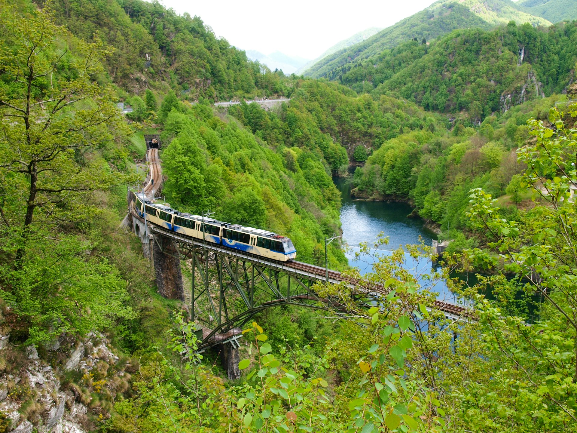 A train on a trestle in a lush valley in Centovalli, Ticino Switzerland