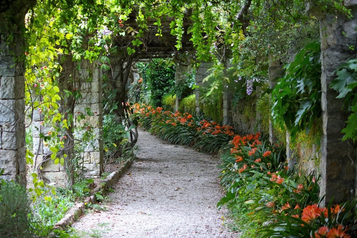 Green bower in Villa Hanbury Botanic Gardens, near Ventimiglia.