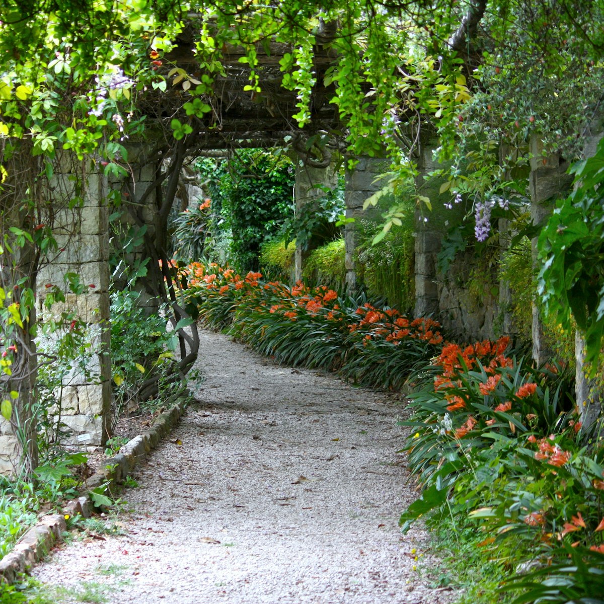Green bower in Villa Hanbury Botanic Gardens, near Ventimiglia.