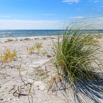 Cayo Costa State Park on La Costa Island is lined with undisturbed, pristine white beaches.
