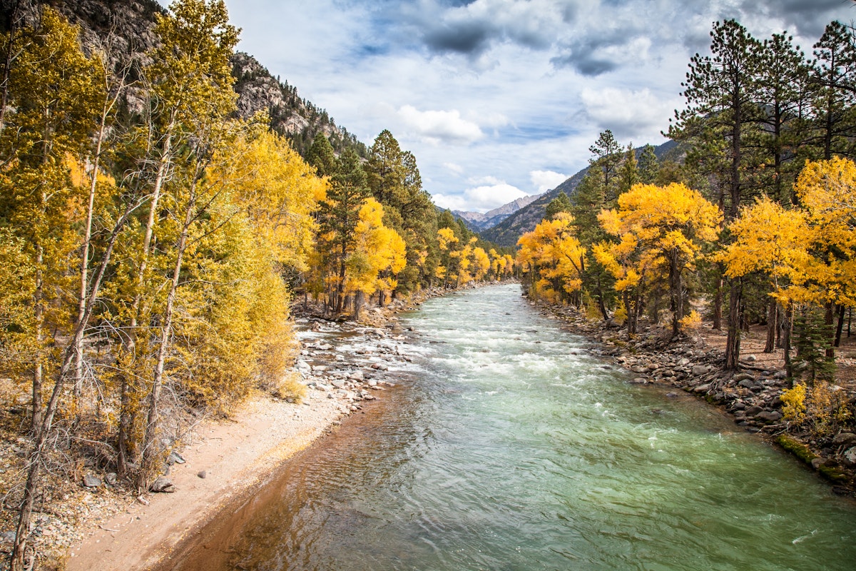 The Animas River running through golden aspens in the Weminuche Wilderness area before reaching the city of Durango.