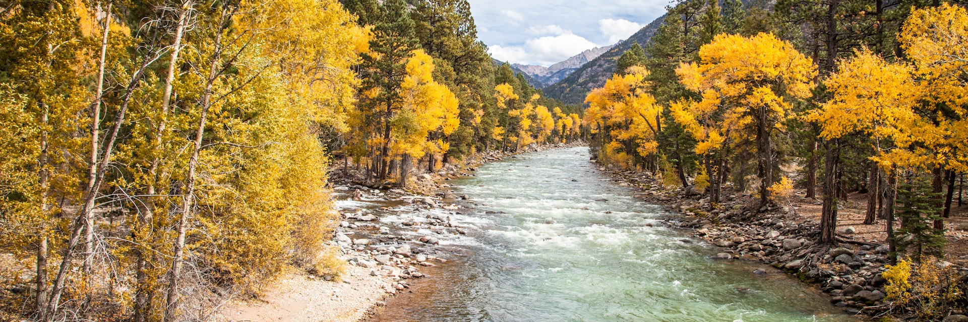 The Animas River running through golden aspens in the Weminuche Wilderness area before reaching the city of Durango.