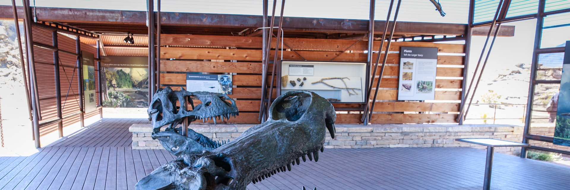 The Fossil Discovery Exhibit at Big Bend National Park.