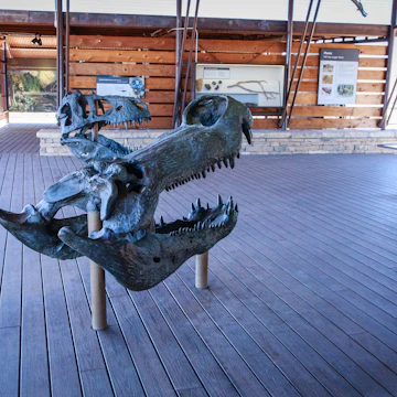 The Fossil Discovery Exhibit at Big Bend National Park.