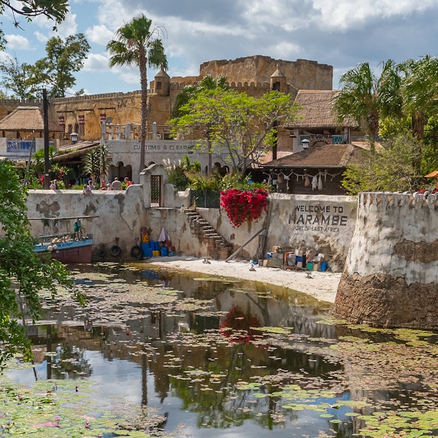 Africa in Animal Kingdom, Orlando, Florida.