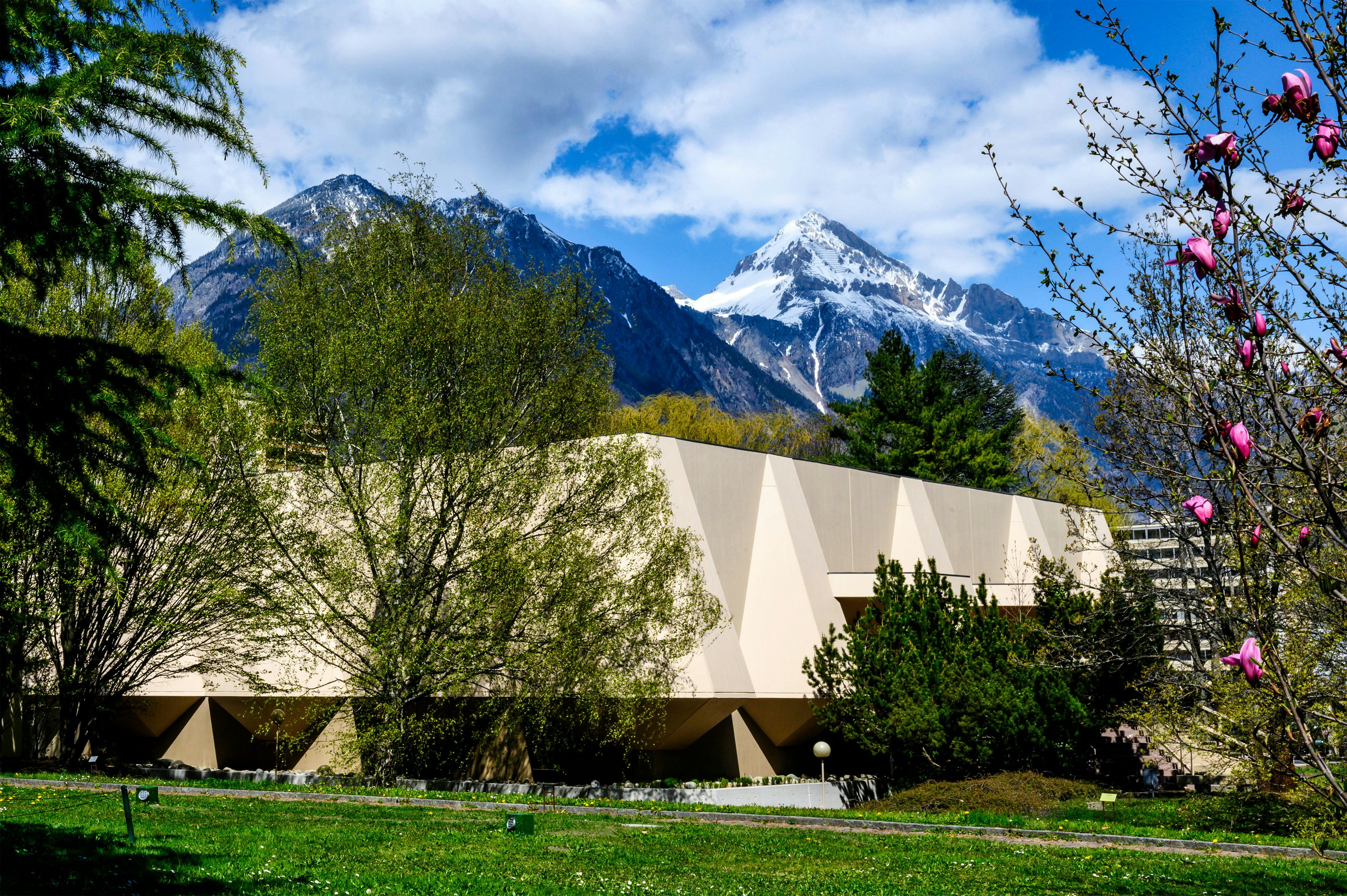 The Pierre Gianadda Foundation