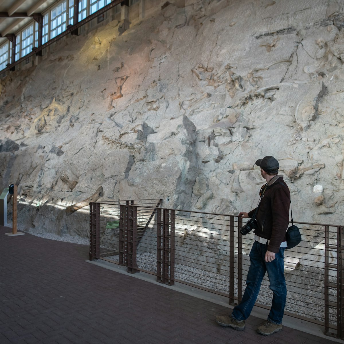 Quarry Exhibit Hall at Dinosaur National Monument.