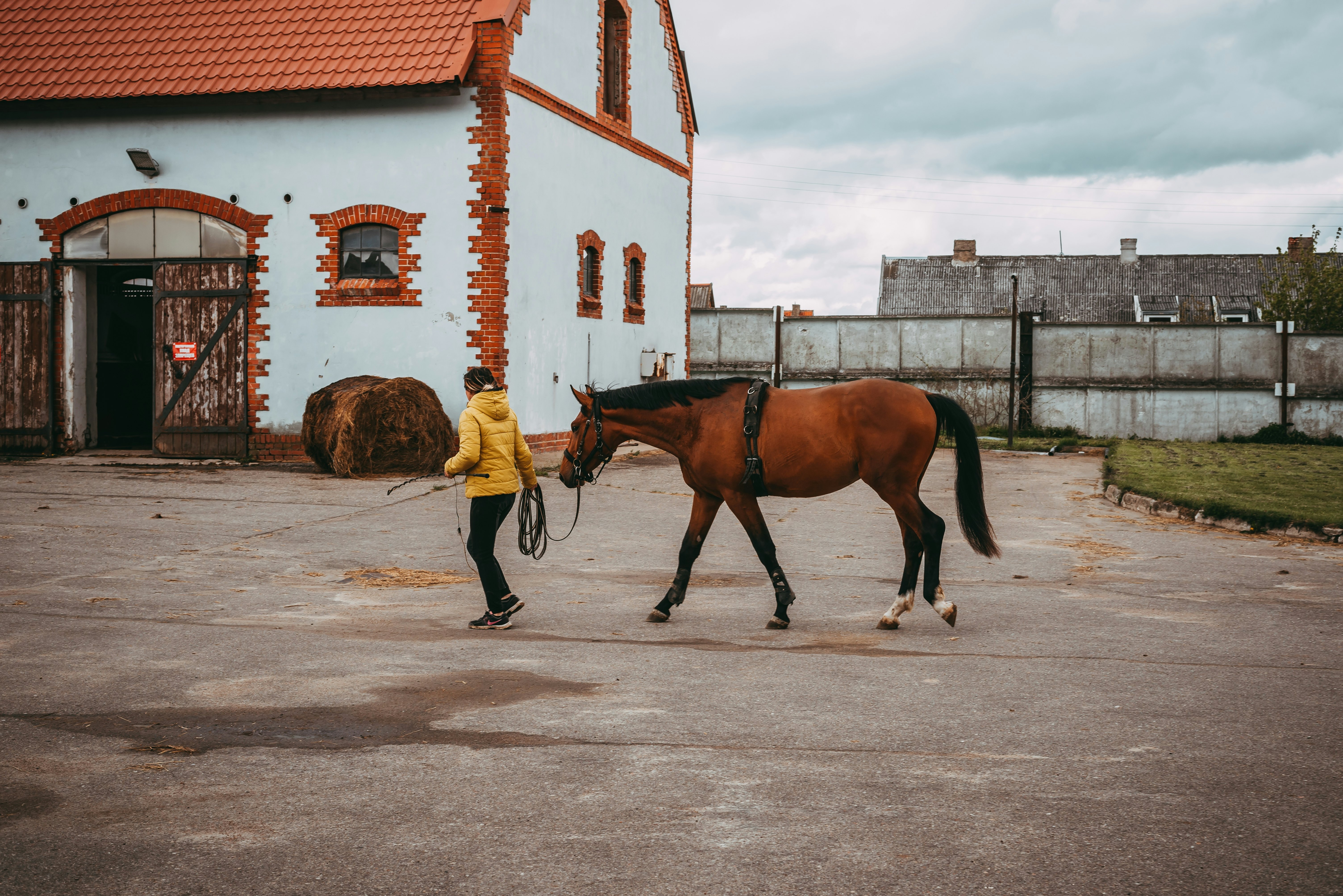 Georgenburg Stud Farm, Chernyahovsk, Russia.
