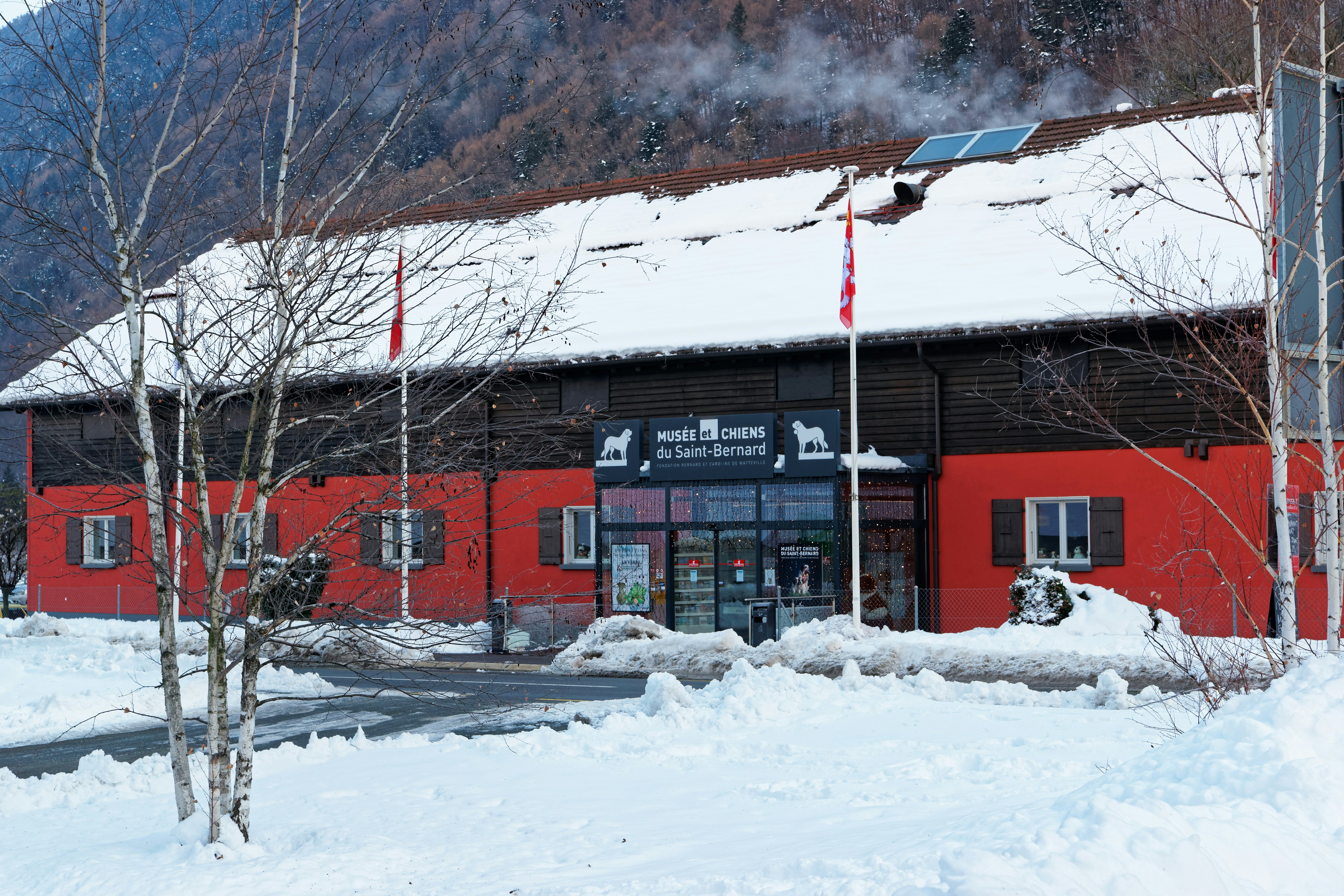 Saint Bernard museum at Martigny, Switzerland.