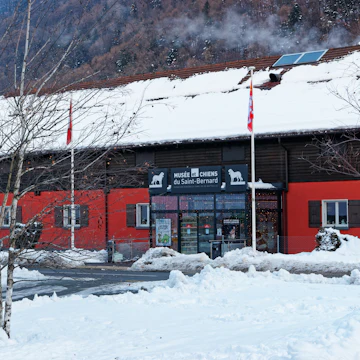 Saint Bernard museum at Martigny, Switzerland.