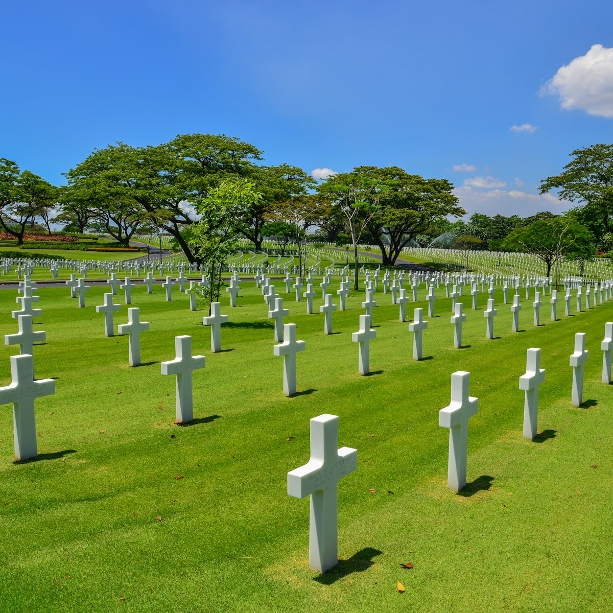 Graves at Manila American Cemetery.