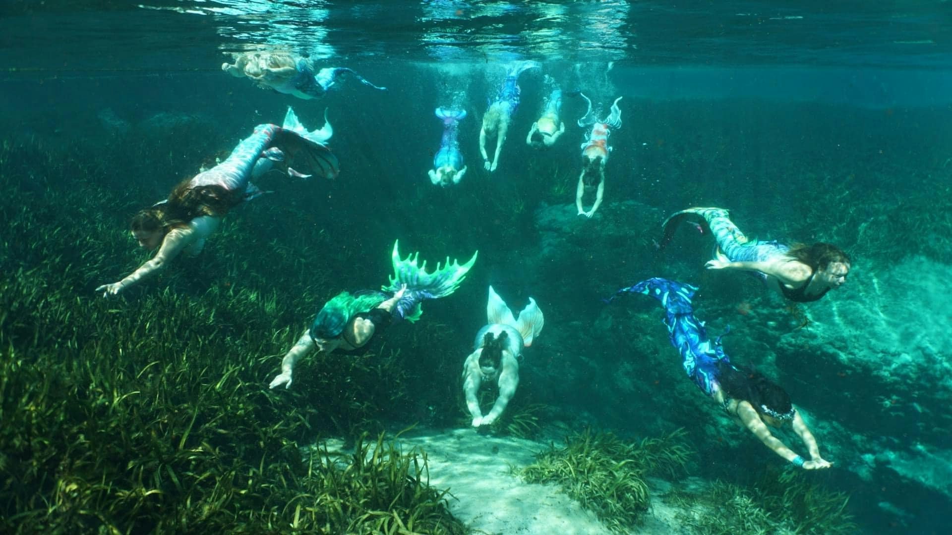 10 mermaids dive into the waters of a Florida spring and swim towards the camera
