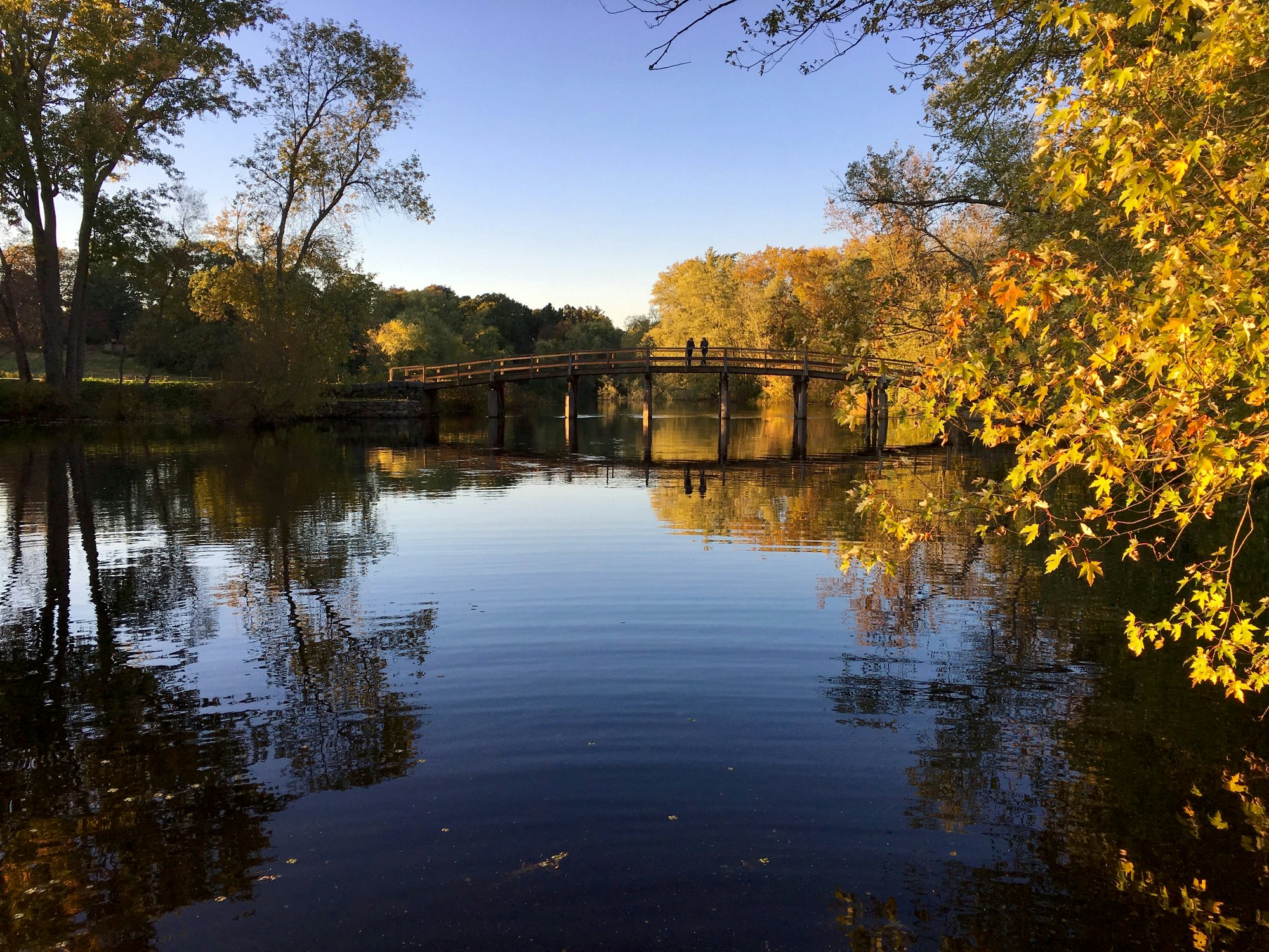 Two people stand on a wooden bridge over a river in parkland