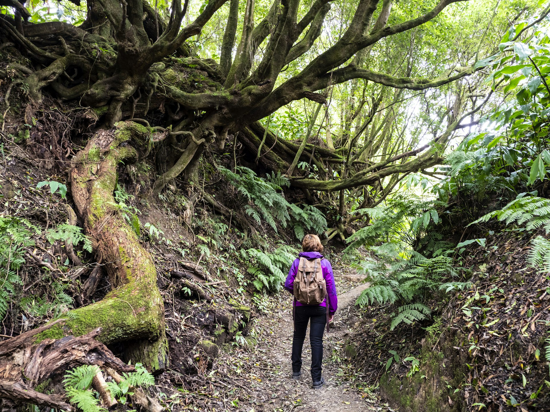 A woman walking along the trail to Pico do Ferro viewpoint to see the lagoon of Furnas