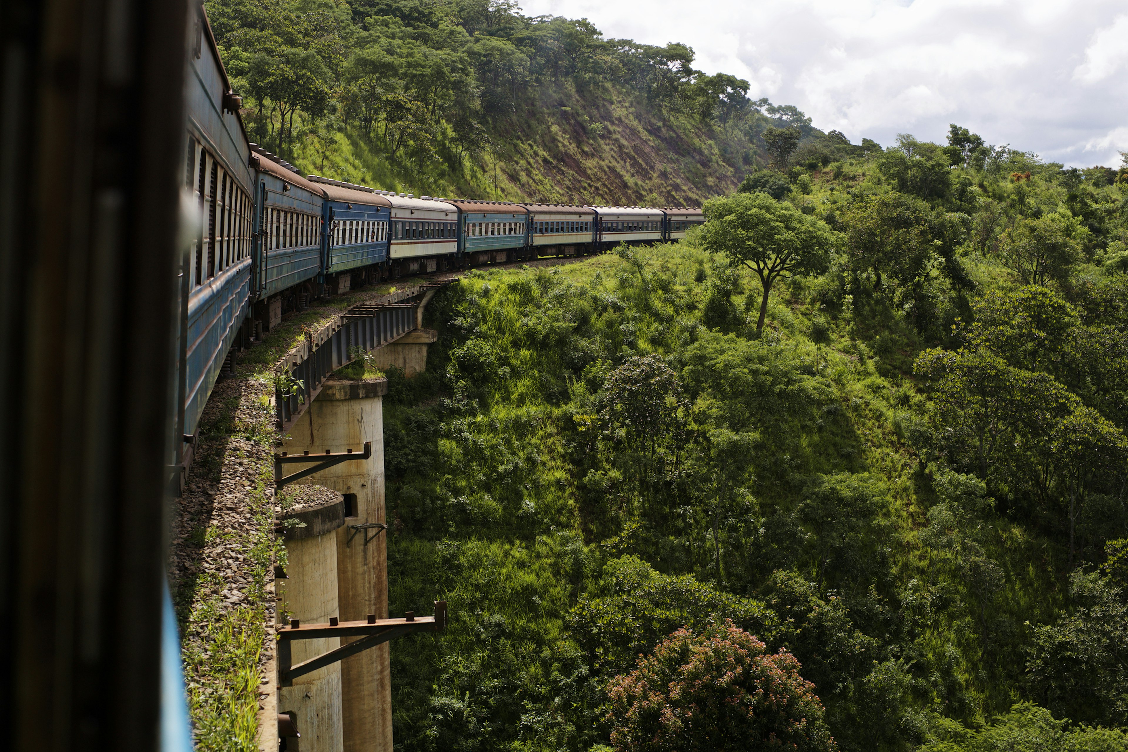 A train travels on a high track over a valley in a lush forest.