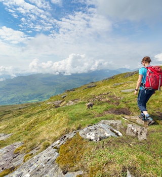 A female hiker and their dog walking down from the mountain summit of Meall Ghaordaidh in the Scottish Highlands, UK.
1339443324
glen lochay, meall ghaordaidh