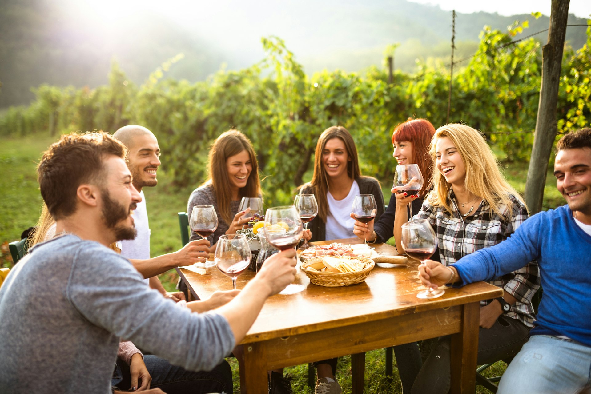 A group of friends sitting around a table in a vineyard and toasting each other with red wine in the sunshine