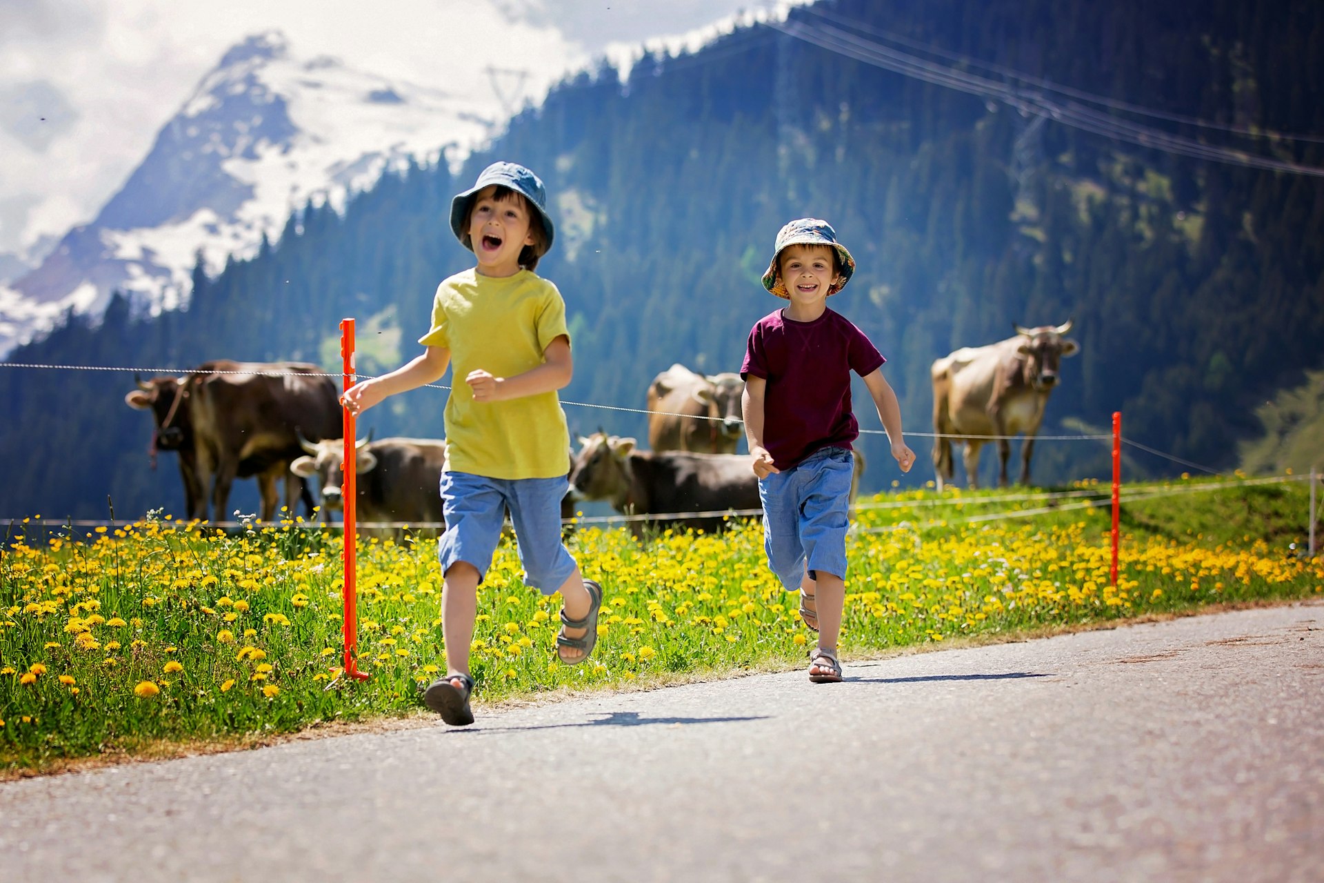 Two small boys run along joyfully beside a field with cows