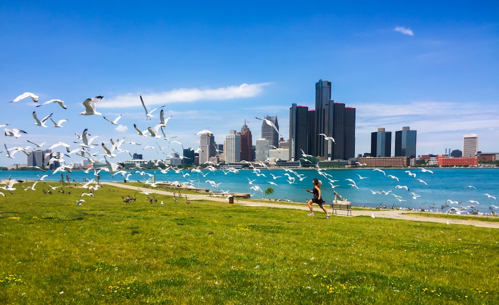 With the Detroit Michigan skyline in the background, a woman runs through a flock of resting seagulls, prompting them to fly off.
697163340