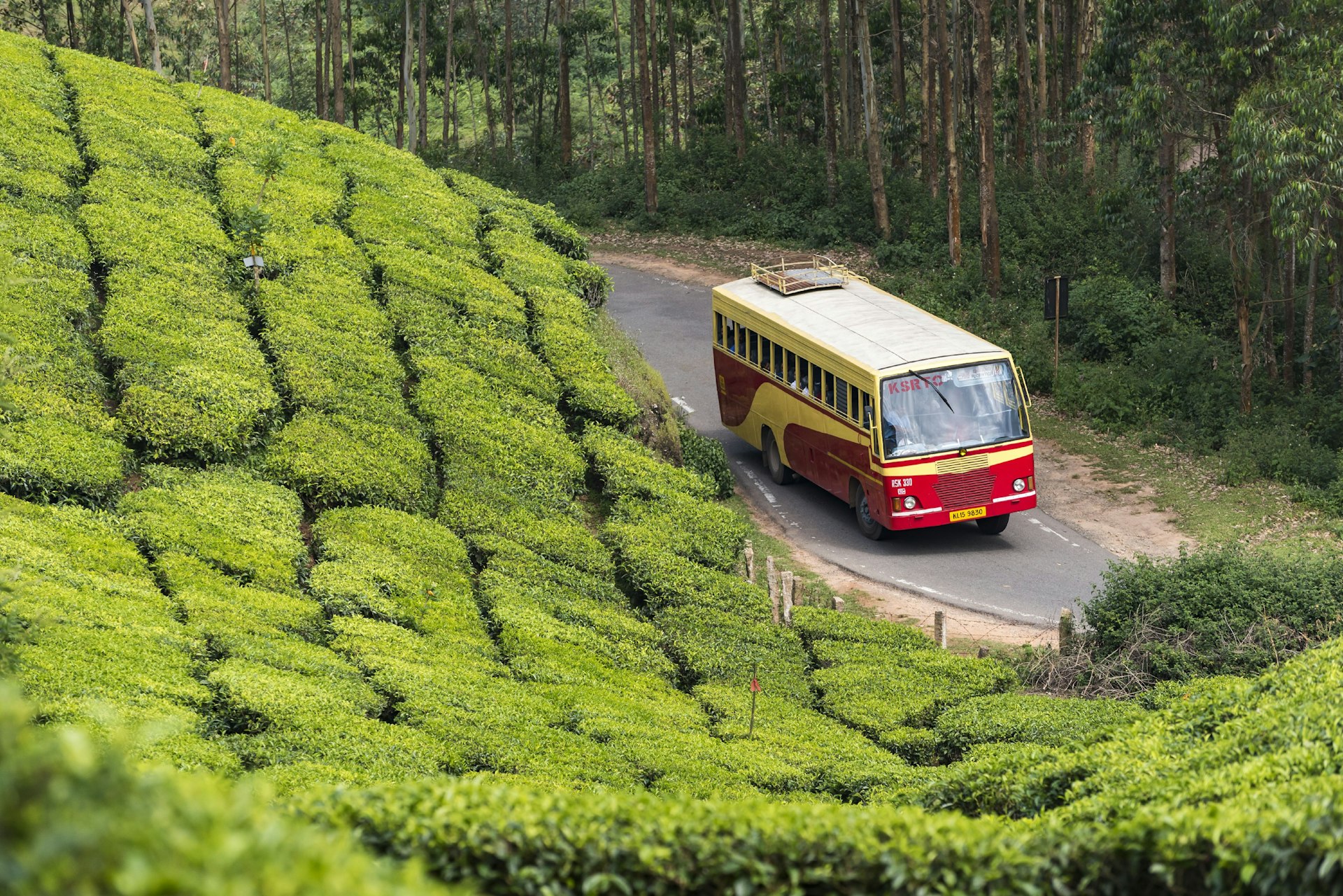 A bus on the road, Devikulam Tea Plantation, Munnar, Kerala, India