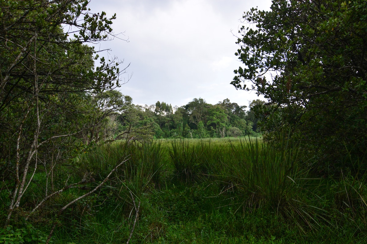 Saiwa Swamp National Park