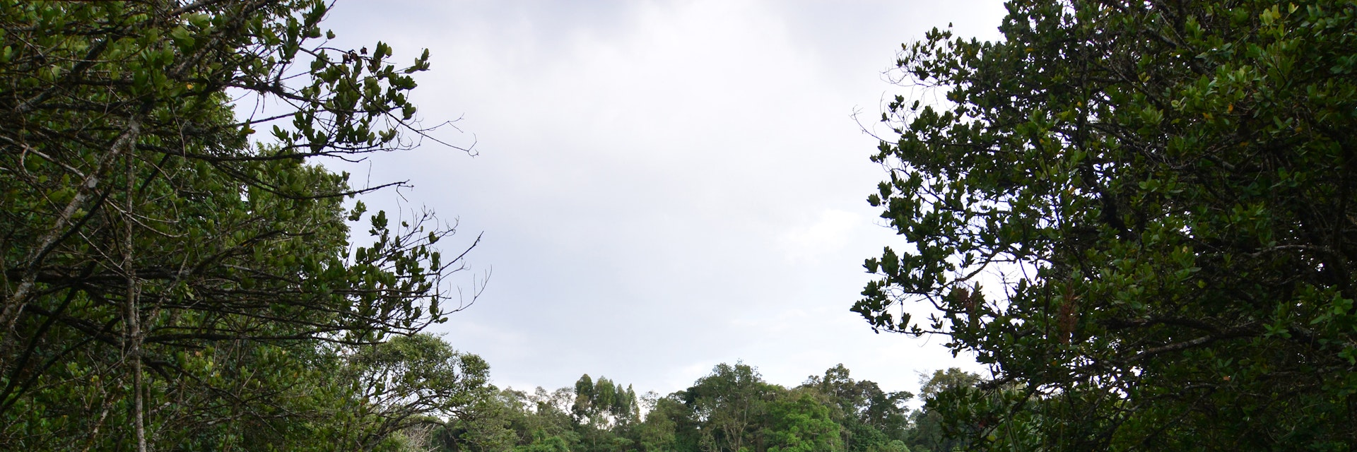 Saiwa Swamp National Park