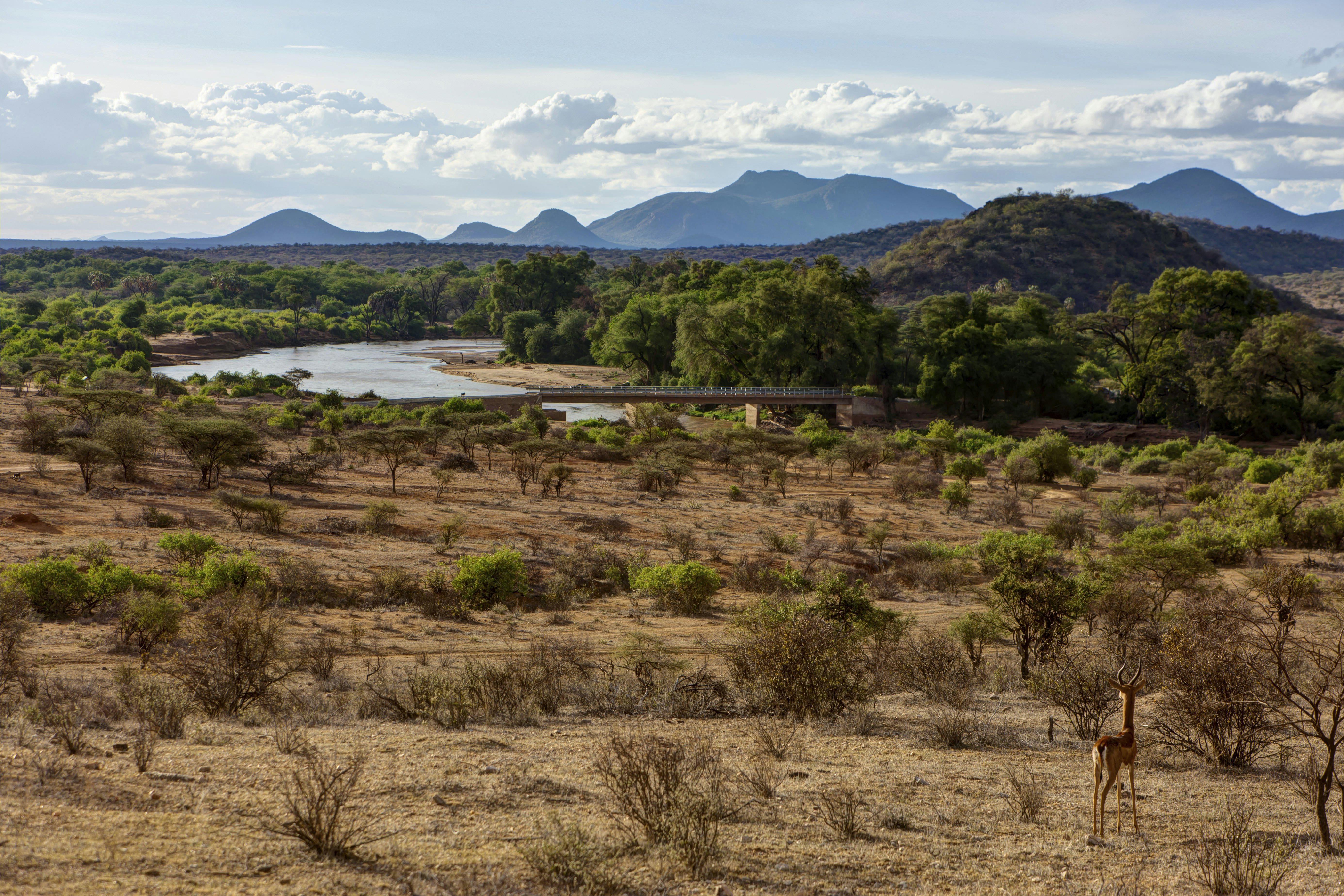 Ng'iro Bridge crossing the Ewaso Ng'iro River in Samburu National Reserve, Kenya.
