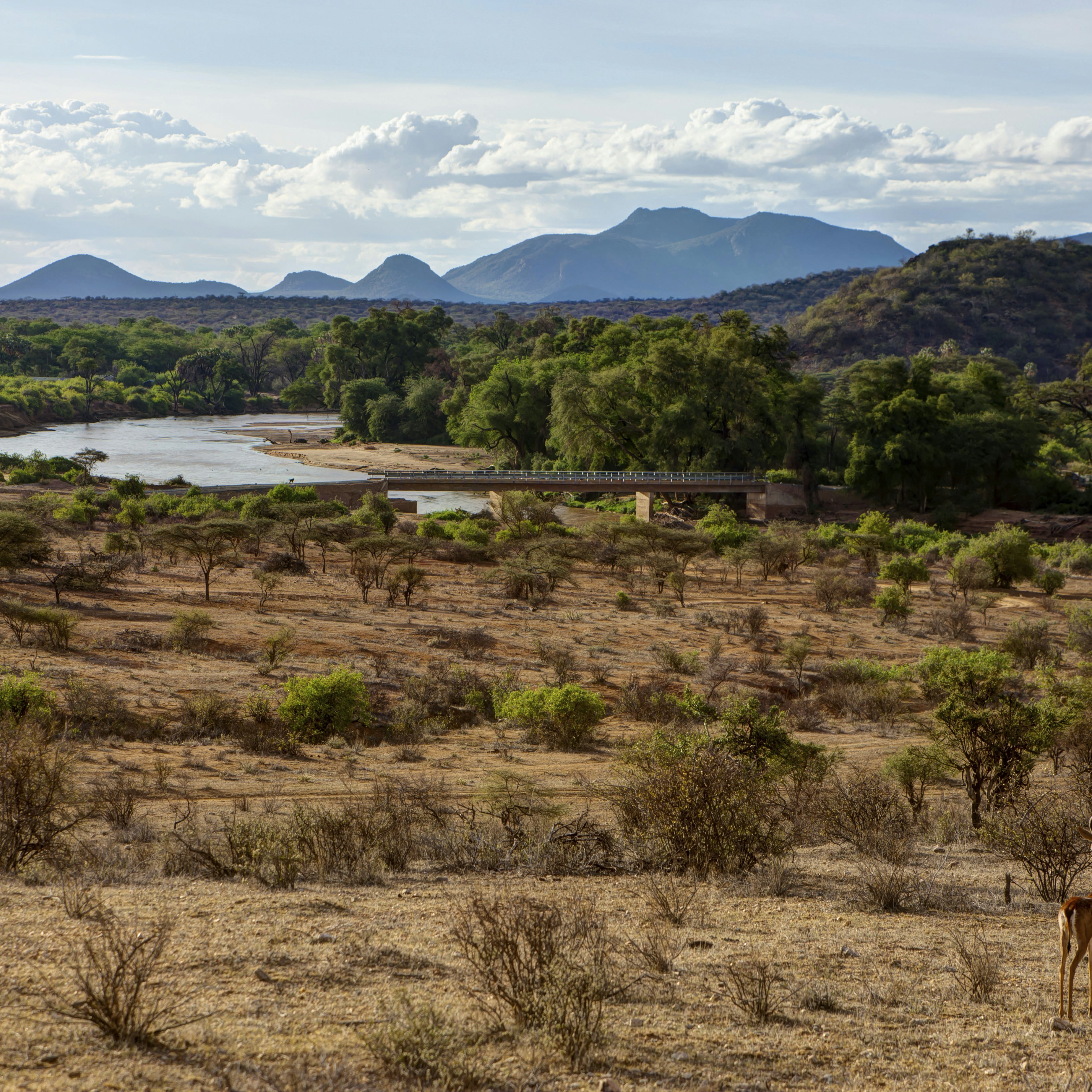 Ng'iro Bridge crossing the Ewaso Ng'iro River in Samburu National Reserve, Kenya.