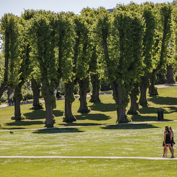 Two woman walk a dog in Frederiksberg Garden on a sunny Sunday.