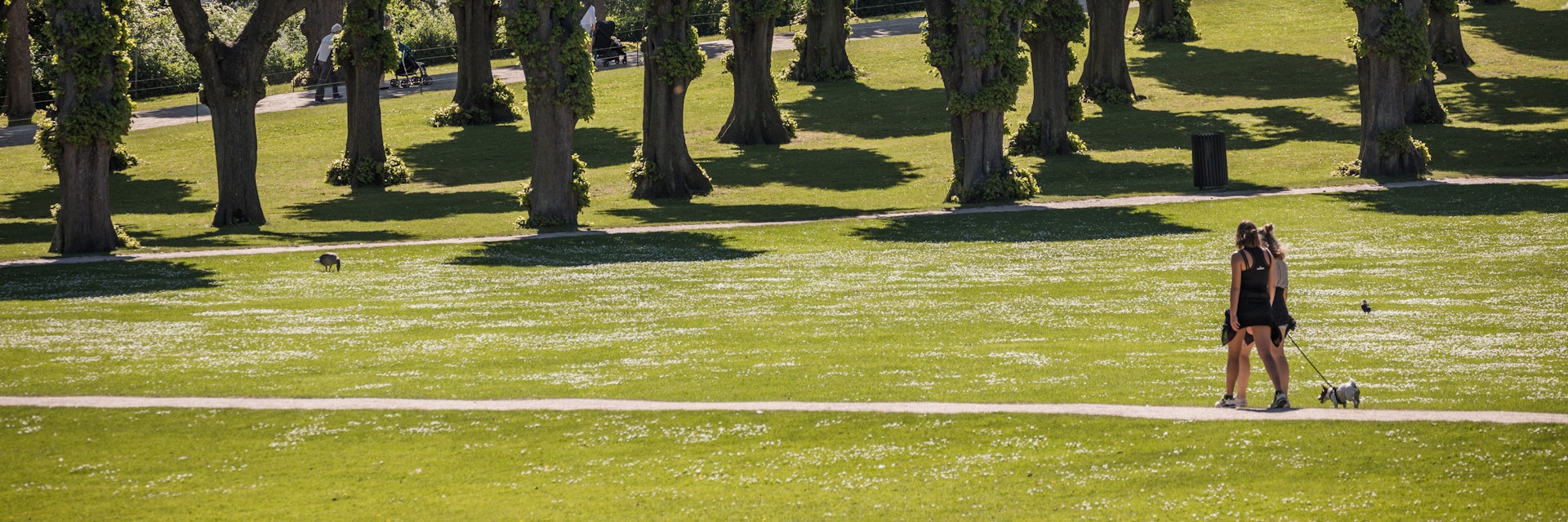 Two woman walk a dog in Frederiksberg Garden on a sunny Sunday.
