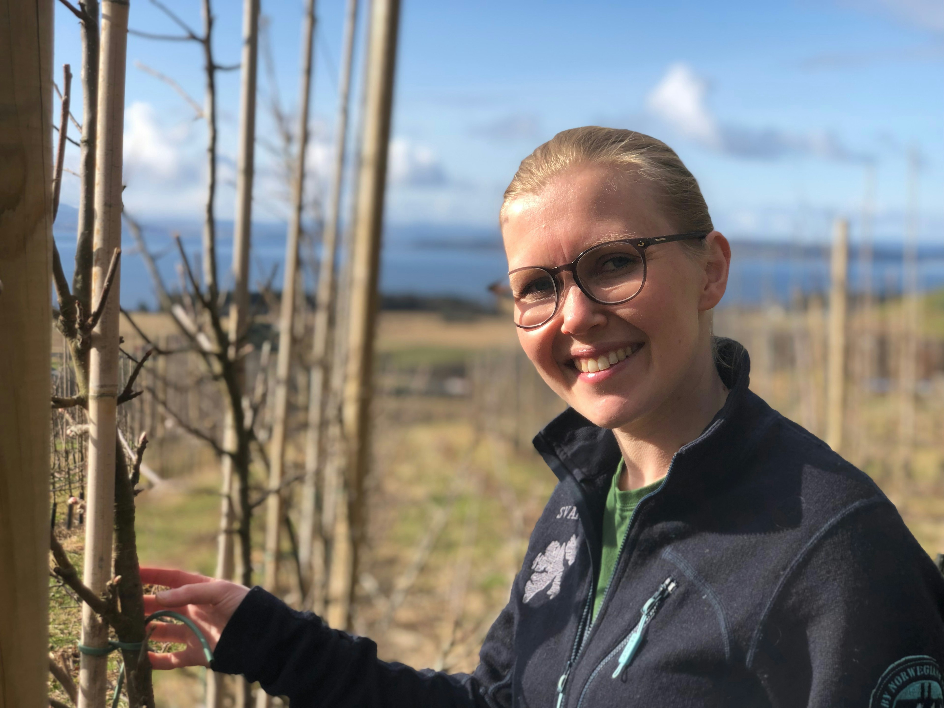 Maren Myrvold, a chef and apple farmer, touches the branch of a tree in an apple orchard, Inderøy, Trøndelag, Norway