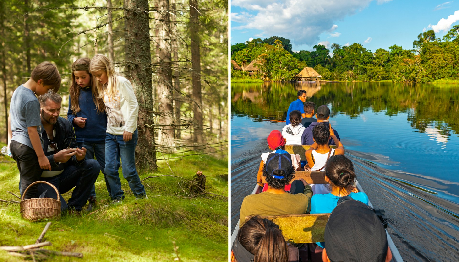 Spend some time foraging in Sweden; explore the wilderness of Ecuador.