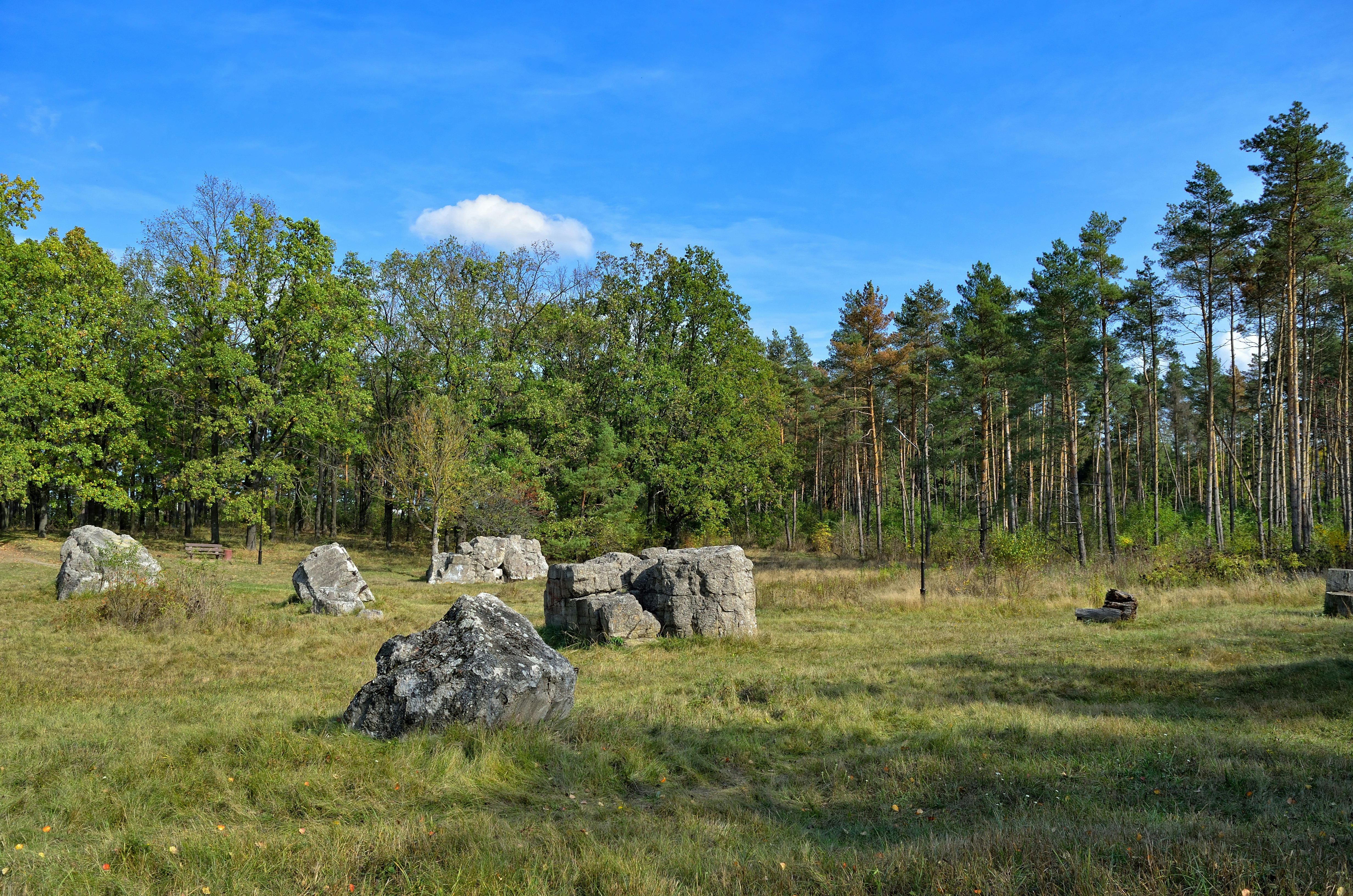 Wehrwolf - Ruins of Hitler's underground headquarters, near Vinnytsia, Ukraine.