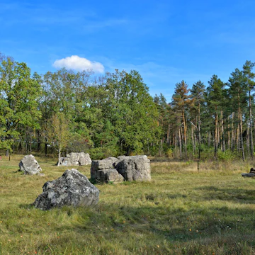 Wehrwolf - Ruins of Hitler's underground headquarters, near Vinnytsia, Ukraine.