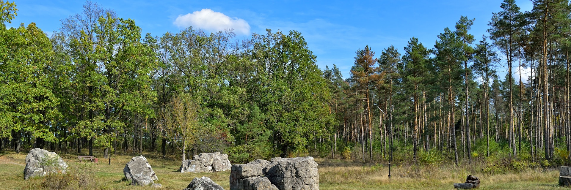 Wehrwolf - Ruins of Hitler's underground headquarters, near Vinnytsia, Ukraine.