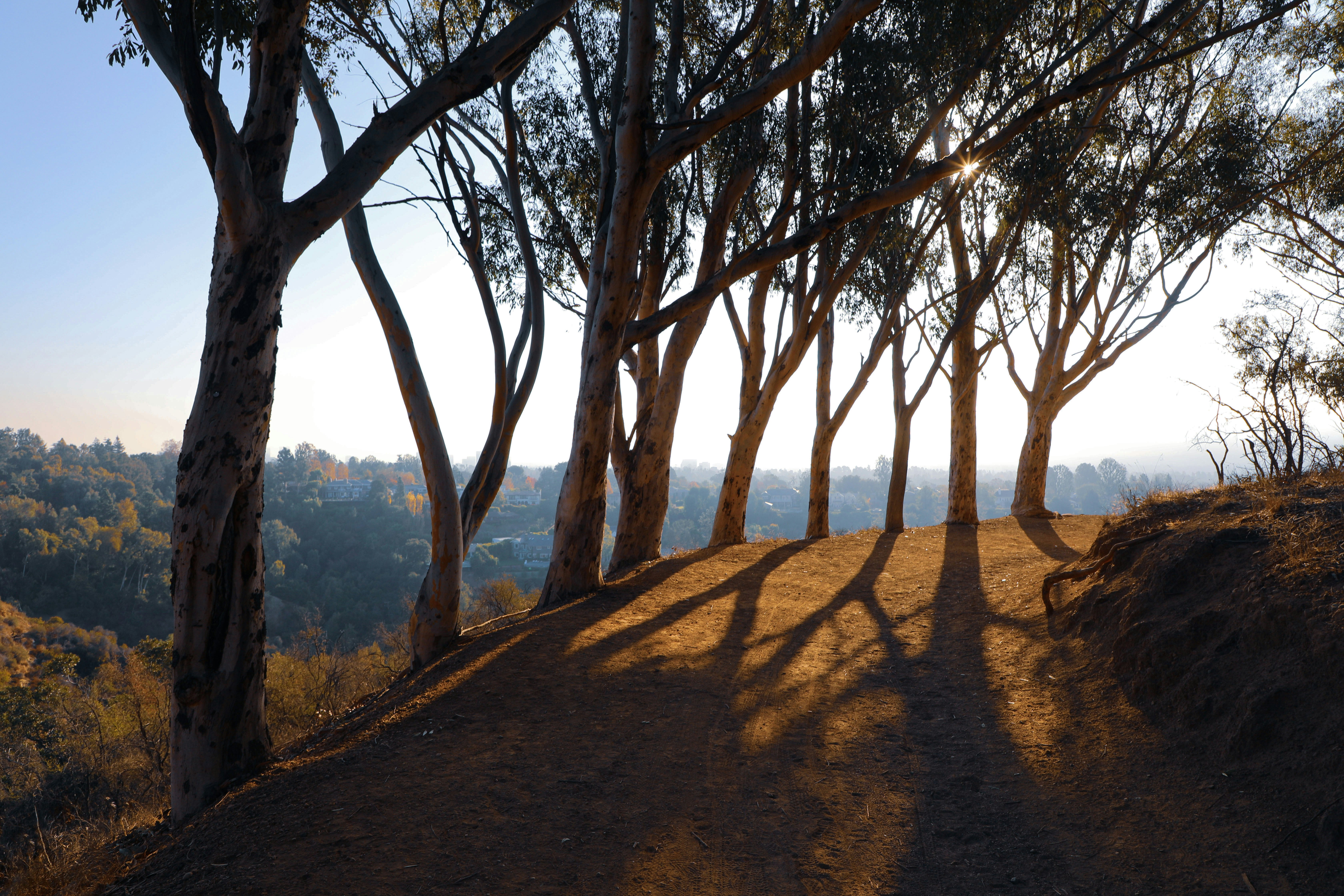 Tree lined Inspiration Point hiking trail in Will Rogers State Historic Park.