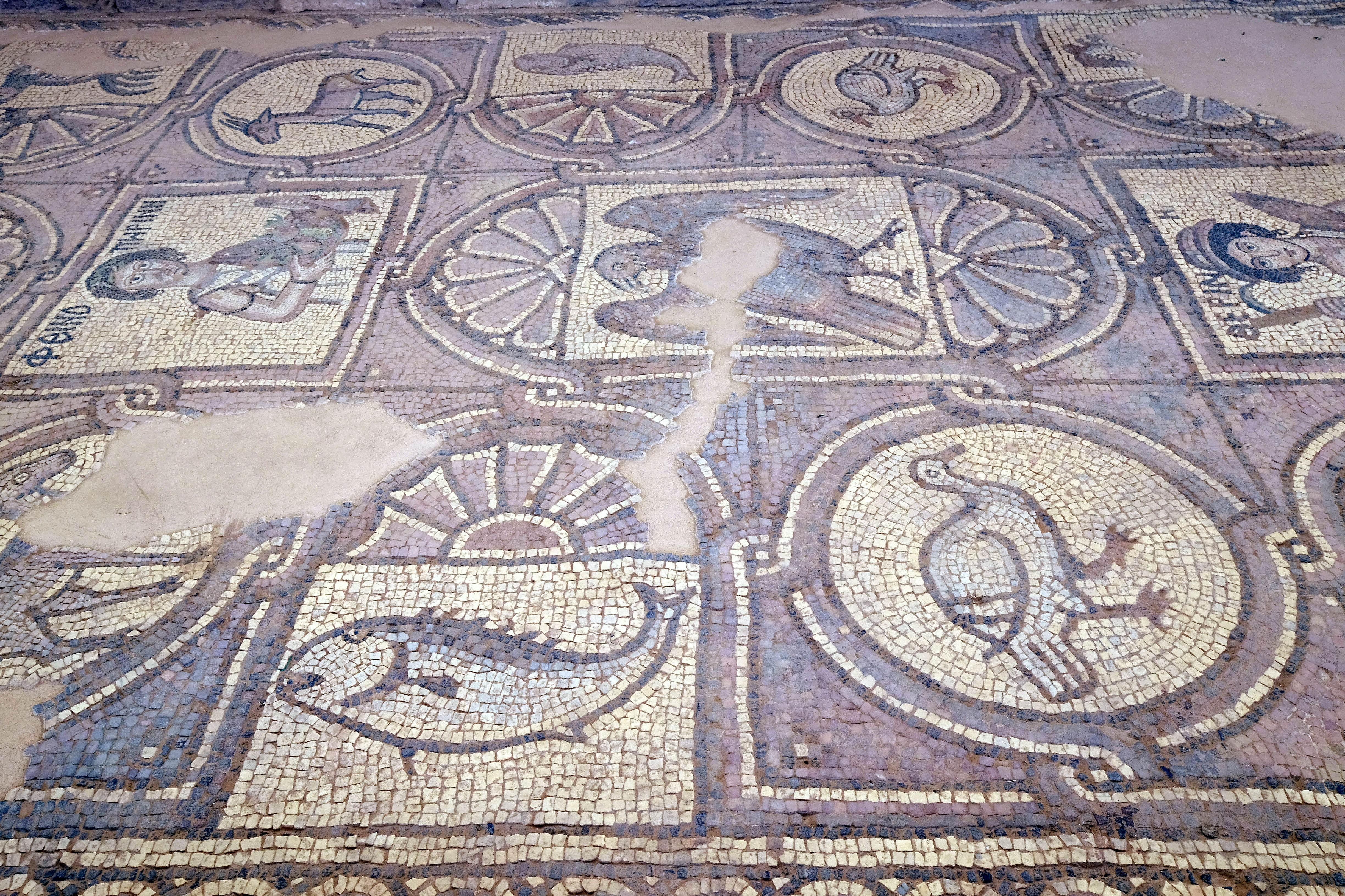 Floor mosaics of Petra Church, also known as the Byzantine Church.