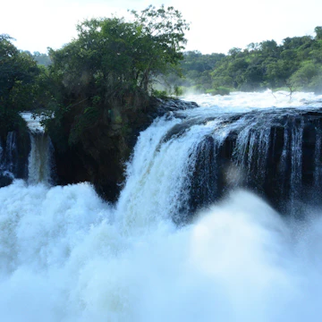 Waters of Murchison Falls.