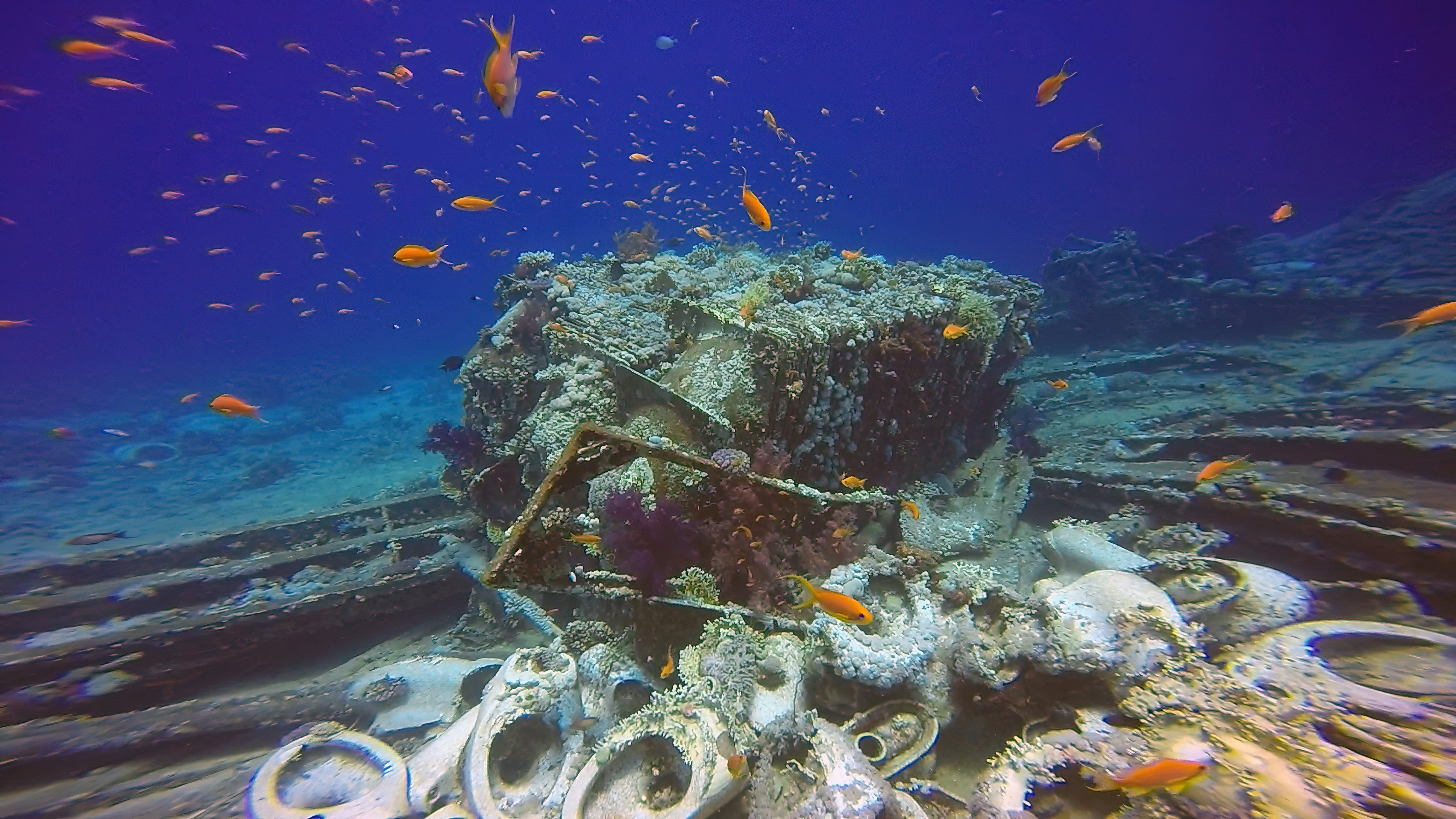 Cargo from the wreck of the Yolanda at the tip of the Sinai Peninsula in Egypt.