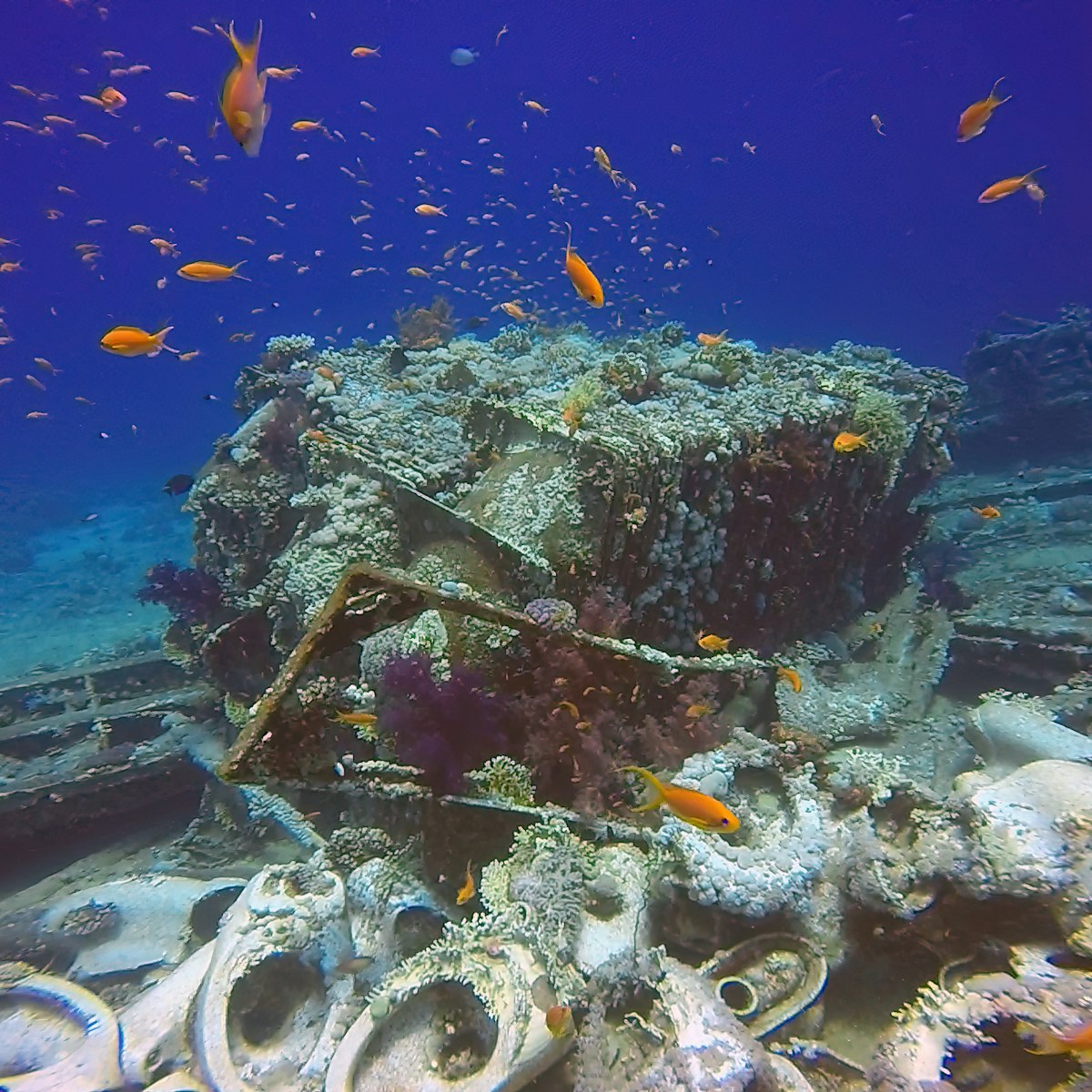 Cargo from the wreck of the Yolanda at the tip of the Sinai Peninsula in Egypt.