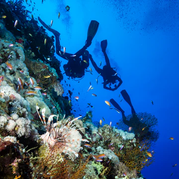 Underwater scene with a lionfish and a group of scuba divers at the famous Elphinstone at Egypt.