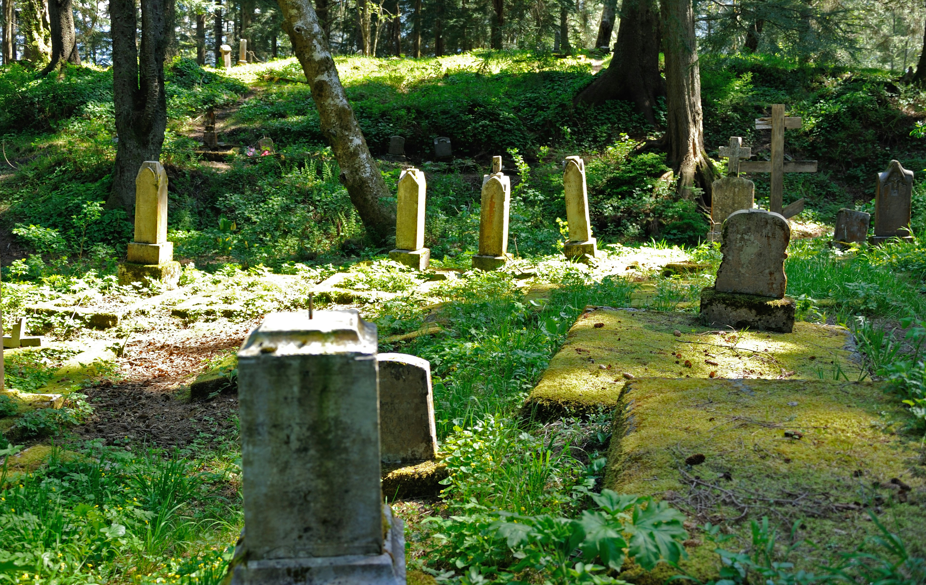 Russian Cemetery in Sitka, Alaska.